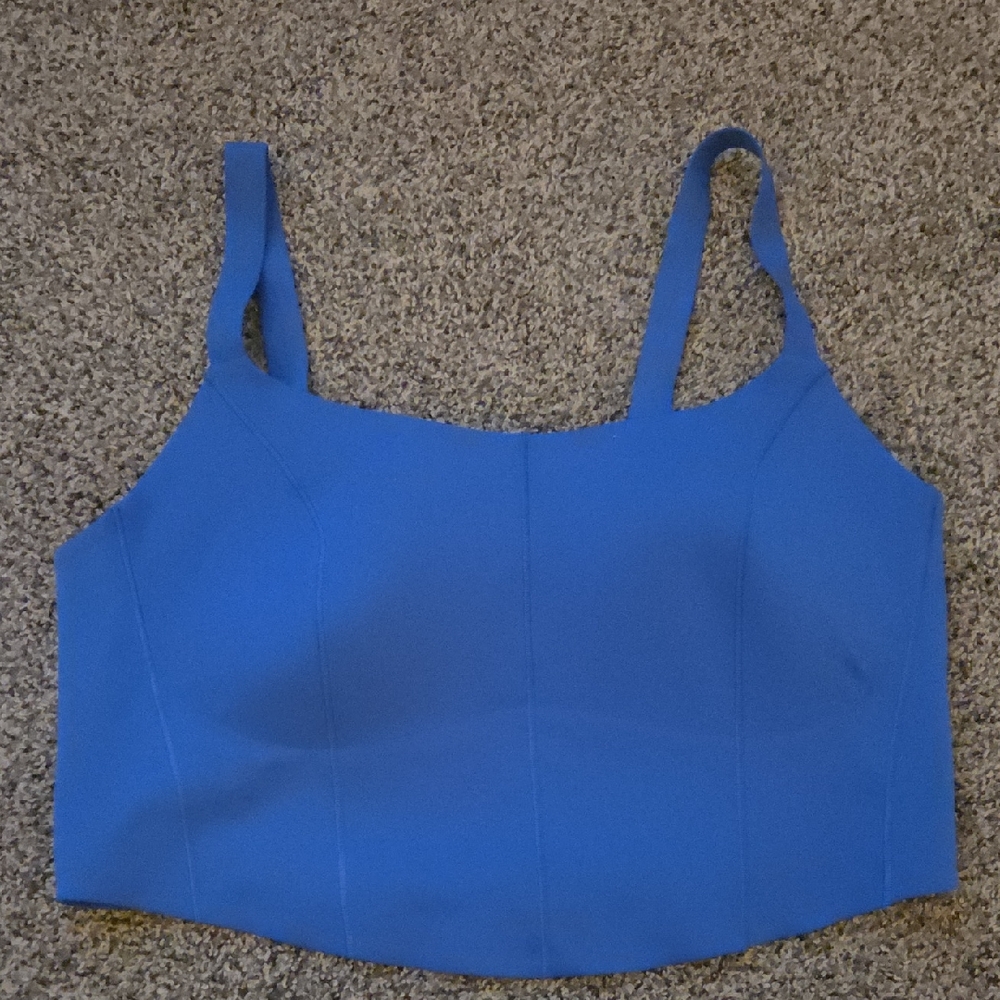 Aerie Offline Blue Sports Bra LARGE